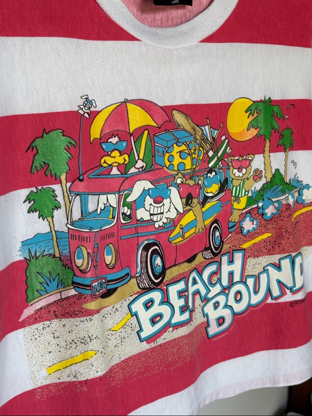 The Zoo Crew Beach Bound Striped Graphic Vintage Boxy Tee 1987 Surf - Picture 7 of 9
